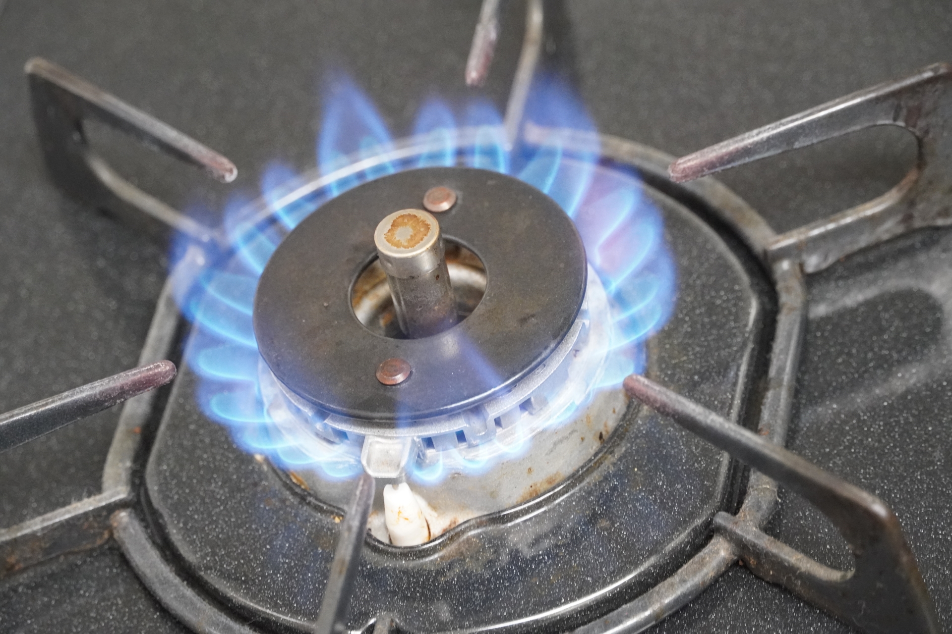 第16条第2項の具体的な内容